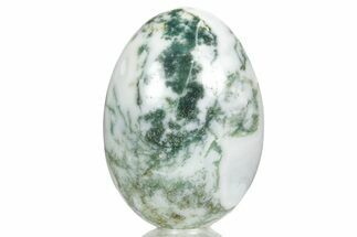 Polished Tree Agate Egg - India #356346