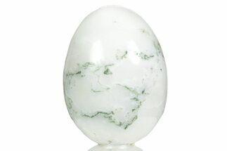 Polished Tree Agate Egg - India #356354