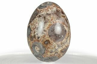 Polished Bird's Eye Jasper (Rhyolite) Egg - Mexico #356338