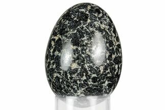 Polished Black and White Hornblende Egg - California #356391