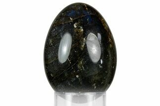 Flashy, Polished Labradorite Egg - Madagascar #356472