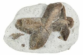 Buy Staurolite