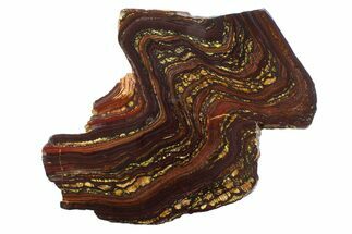 Polished Tiger Iron Stromatolite Slab - Billion Years #354935