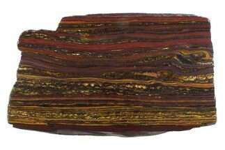 Polished Tiger Iron Stromatolite Slab - Billion Years #354941