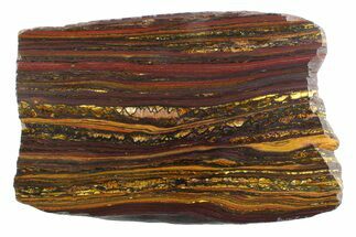 Polished Tiger Iron Stromatolite Slab - Billion Years #354947