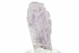 Lavender Kunzite Crystal ( g) - Afghanistan #356660