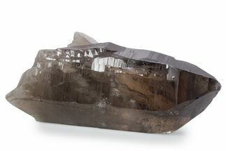 Natural, Dark Smoky Quartz Crystal - Colorado #356716