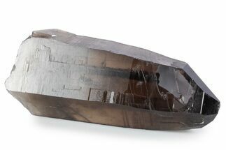 Natural, Dark Smoky Quartz Crystal - Colorado #356717