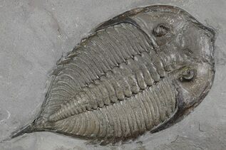 Recently Added For Sale