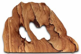 Wide Picture Sandstone Arch - Arizona #357185