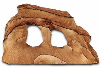 Wide Picture Sandstone Arch - Arizona #357191