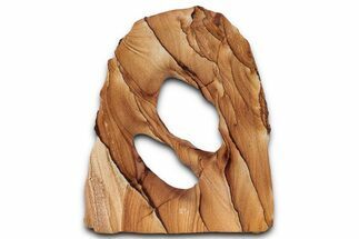 Tall Picture Sandstone Arch - Arizona #357195