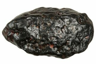Carbonaceous Chondrite Meteorite ( g) - NWA #334482