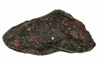 Carbonaceous Chondrite Meteorite ( g) - NWA #334503