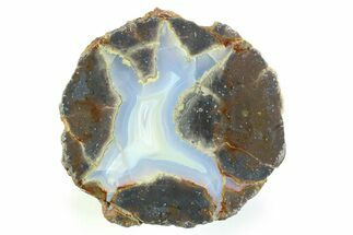 Colorful Polished Thunderegg Half - Nevada #337775