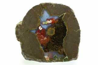 Colorful Polished Thunderegg Half - Nevada #337803