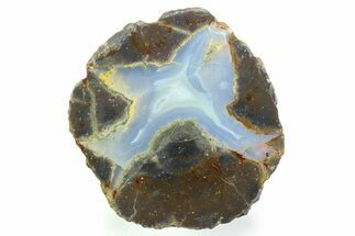 Colorful Polished Thunderegg Half - Nevada #337859