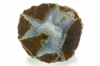 Colorful Polished Thunderegg Half - Nevada #337862
