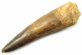 Recently Added For Sale