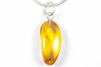 Polished Baltic Amber Pendant (Necklace) - Contains Fly! #357921