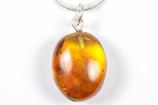 Polished Baltic Amber Pendant (Necklace) - Contains Fly! #357924
