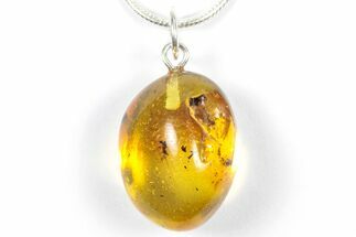 Polished Baltic Amber Pendant (Necklace) - Contains Fly! #357928