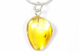 Polished Baltic Amber Pendant (Necklace) - Contains Wasp! #357949