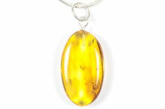 Polished Baltic Amber Pendant (Necklace) - Contains Fly! #357953