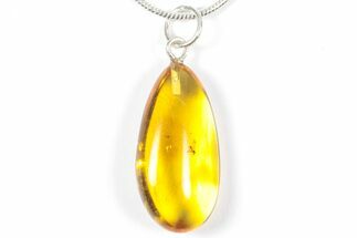 Polished Baltic Amber Pendant (Necklace) - Contains Fly! #357956