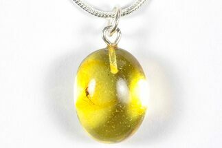 Polished Baltic Amber Pendant (Necklace) - Contains Fly! #357957