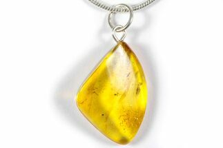 Polished Baltic Amber Pendant (Necklace) - Contains Fly! #357962