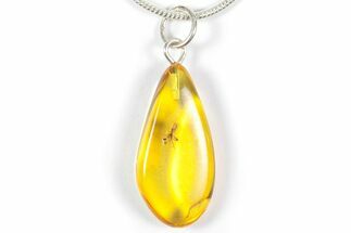 Polished Baltic Amber Pendant (Necklace) - Contains Insect! #357969
