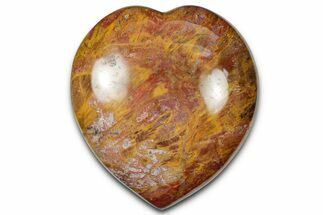 Polished Triassic Petrified Wood Heart - Madagascar #355629