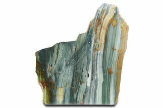 Free-Standing, Gary Green Jasper (Larsonite) Bog Wood - Oregon #334769