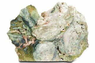 Free-Standing, Gary Green Jasper (Larsonite) Bog Wood - Oregon #334797