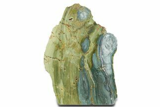 Free-Standing, Gary Green Jasper (Larsonite) Bog Wood - Oregon #334798