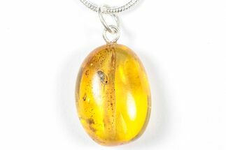 Polished Baltic Amber Pendant (Necklace) - Contains Fly! #357986