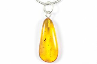 Polished Baltic Amber Pendant (Necklace) - Contains Wasp! #357987