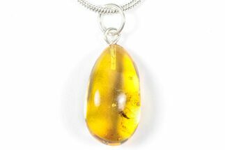 Polished Baltic Amber Pendant (Necklace) - Contains Fly! #357991