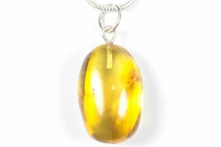 Polished Baltic Amber Pendant (Necklace) - Contains Fly! #357992