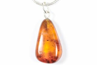 Polished Baltic Amber Pendant (Necklace) - Contains Fly! #357995