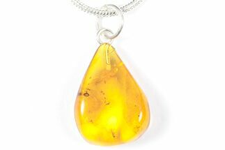 Polished Baltic Amber Pendant (Necklace) - Contains Fly! #357996