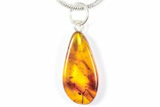 Polished Baltic Amber Pendant (Necklace) with Mite and Fly! #357998