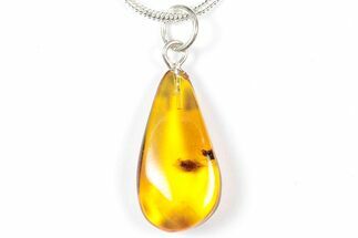 Polished Baltic Amber Pendant (Necklace) - Contains Fly! #357999