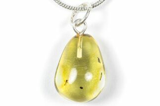 Polished Baltic Amber Pendant (Necklace) with Flies & Coprolite! #358001