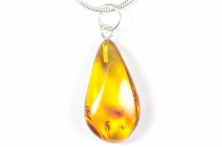 Polished Baltic Amber Pendant (Necklace) - Contains Flies! #358005