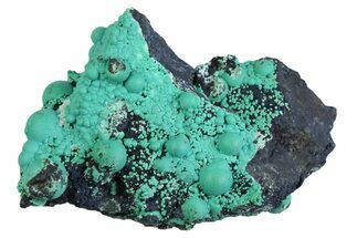 Blue-Green Botryoidal Chrysocolla - Planet Mine, Arizona #358224