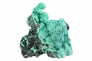 Blue-Green Botryoidal Chrysocolla - Planet Mine, Arizona #358274