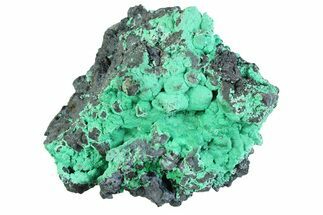 Blue-Green Botryoidal Chrysocolla - Planet Mine, Arizona #358306