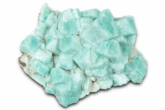 Brilliant Teal Amazonite Crystal Cluster - Colorado #358569